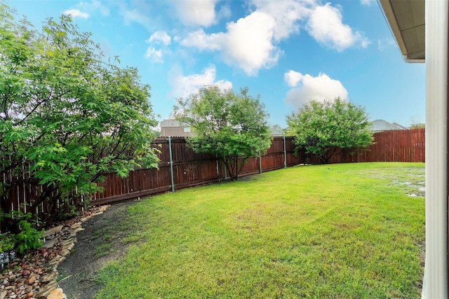 4825 Lazy Oaks St, Fort Worth, TX 76244 - view of yard
