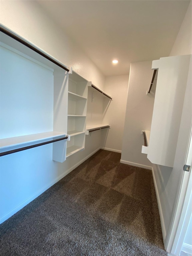 1037 Madelia Ave, Fort Worth, TX 76177 - walk in closet with dark carpet