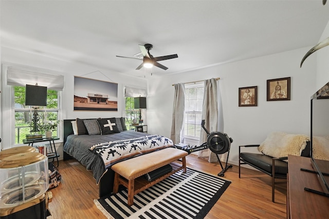 916 Carondolet Ct, River Oaks, TX 76114 - bedroom with multiple windows, light wood-type flooring, and a ceiling fan
