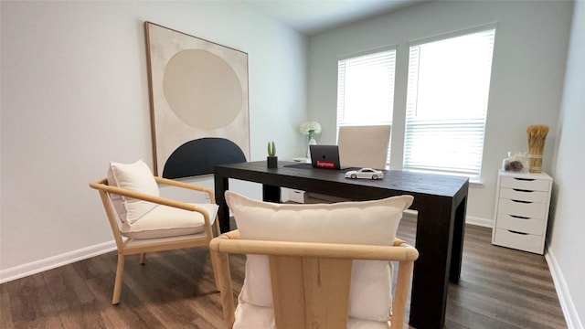 1605 Anacua Ln, Wylie, TX 75098 - office space featuring wood finished floors and baseboards
