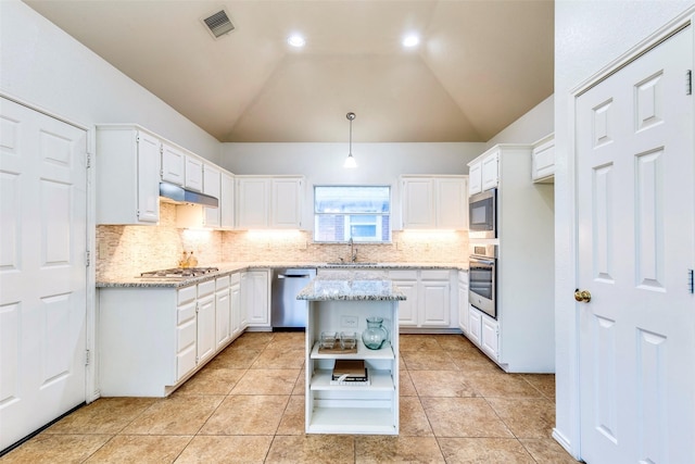 1104 Bayshore St, Allen, TX 75002 - kitchen featuring a sink, appliances with stainless steel finishes, open shelves, lofted ceiling, and under cabinet range hood