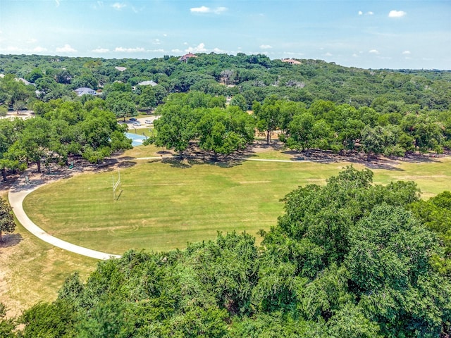 2831 Creekwood Ct, Grapevine, TX 76051 - aerial view