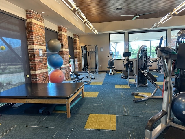 8857 Shore Crest Rd, Frisco, TX 75036 - workout area with ceiling fan and carpet floors
