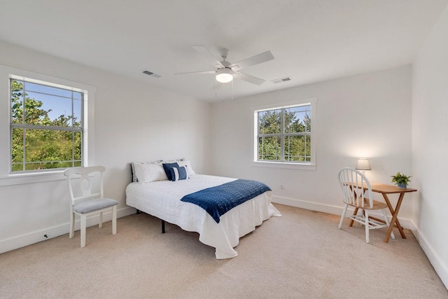 3829 Fm 896, Leonard, TX 75452 - bedroom featuring multiple windows, light carpet, and baseboards