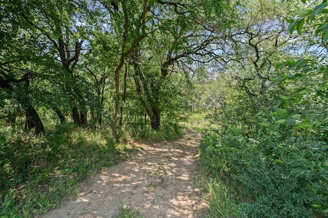 227 W Lipan Dr, Lipan, TX 76462 - view of wooded area