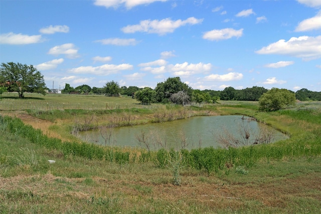 227 W Lipan Dr, Lipan, TX 76462 - water view