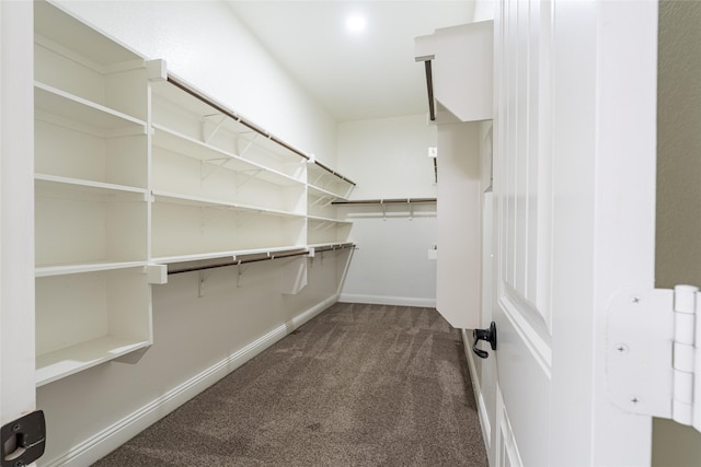 10909 Blake Gdns, Mckinney, TX 75072 - walk in closet with dark carpet