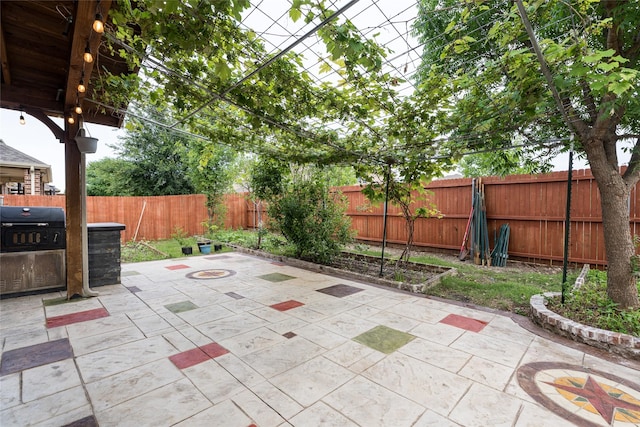 10909 Blake Gdns, Mckinney, TX 75072 - fenced backyard with a patio area and a grill