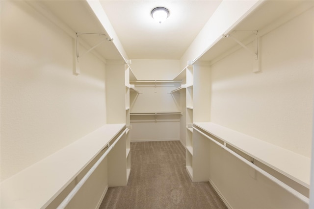 3015 Oak Dr, Rockwall, TX 75032 - walk in closet featuring carpet flooring