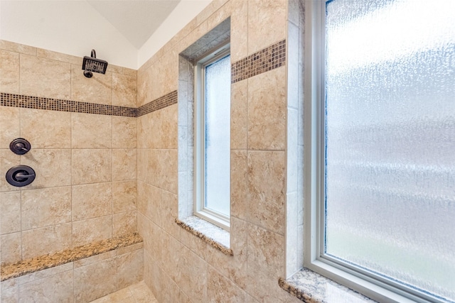 3308 Runabout Ct, Plano, TX 75023 - full bathroom with tiled shower and healthy amount of natural light