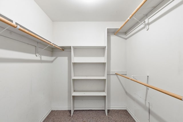 7578 Dick Price Rd, Mansfield, TX 76063 - spacious closet featuring carpet