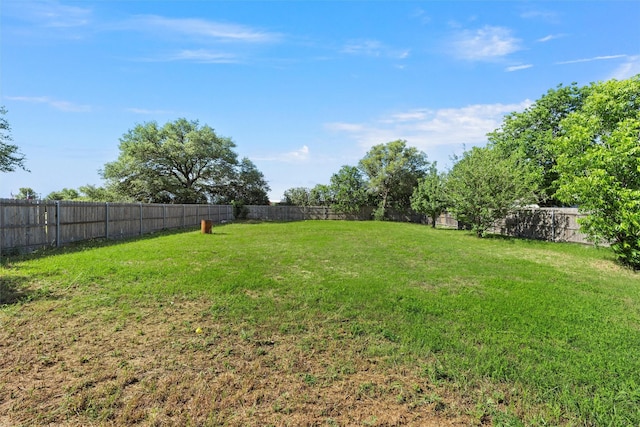 1411 Stillmeadow Dr, West, TX 76691 - view of yard