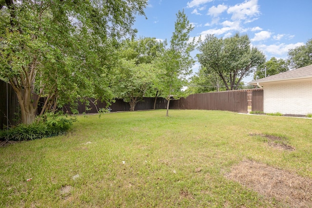 7818 Rolling Acres Dr, Dallas, TX 75248 - view of yard