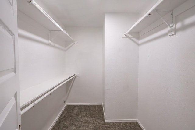 6519 Club Wood, Dallas, TX 75237 - spacious closet featuring dark colored carpet