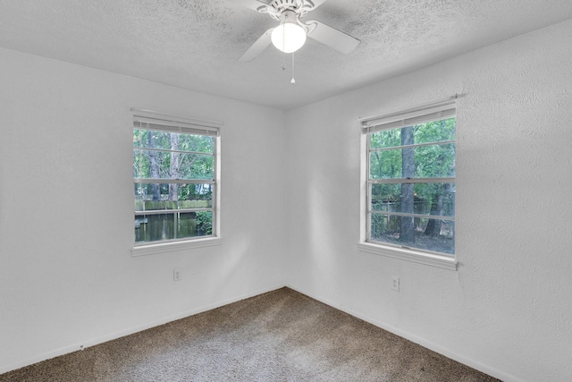 118 Dogwood Trl, Gun Barrel City, TX 75156 - empty room featuring plenty of natural light, carpet flooring, a textured ceiling, and a ceiling fan