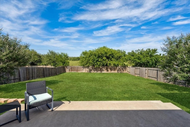 183 Dodge City Trl, Newark, TX 76071 - view of yard featuring a patio