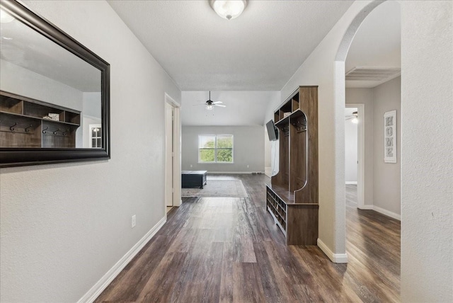 183 Dodge City Trl, Newark, TX 76071 - hall featuring dark wood-style flooring, arched walkways, and baseboards