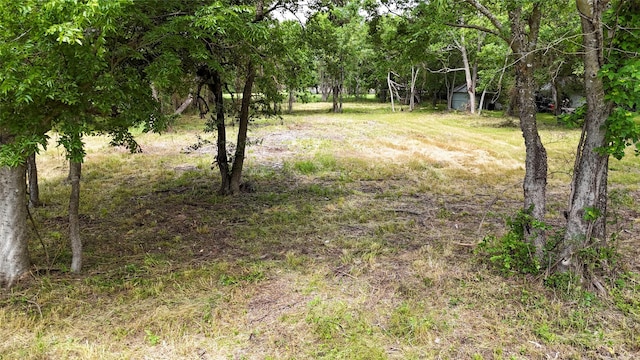 1319 Cedar St, Bonham, TX 75418