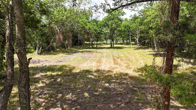 1319 Cedar St, Bonham, TX 75418