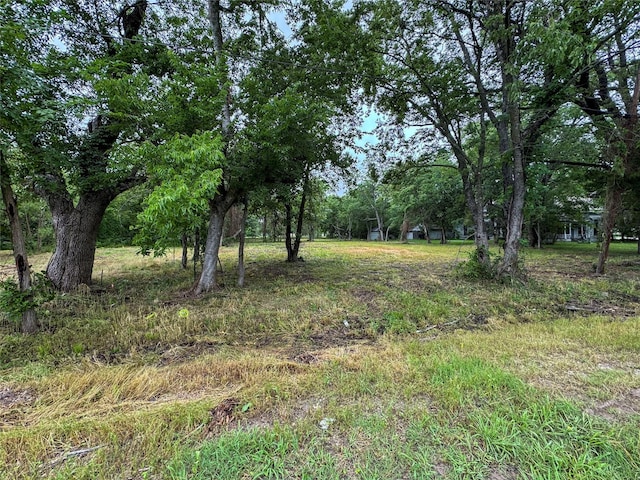 1319 Cedar St, Bonham, TX 75418
