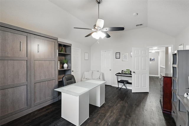 7113 Sundance Ln, Fort Worth, TX 76179 - office with lofted ceiling, a ceiling fan, and dark wood-style flooring
