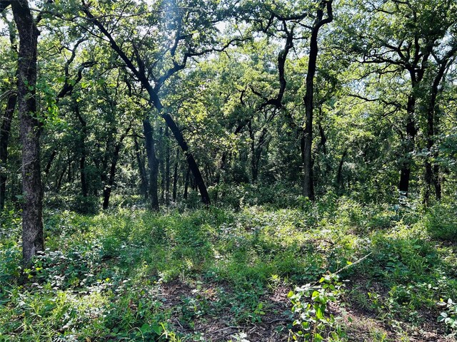 1212 Hcr-1212, Whitney, TX 76692