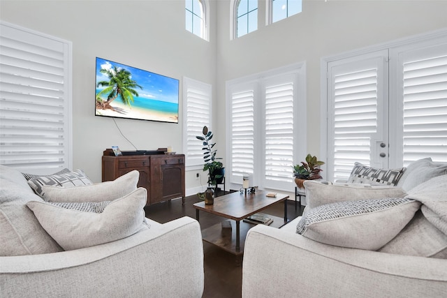 3736 Queen Rd, Sherman, TX 75090 - living room featuring wood finished floors, a high ceiling, and baseboards