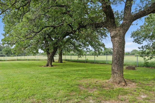 421 Olive Branch Rd, Brock, TX 76087 - view of yard