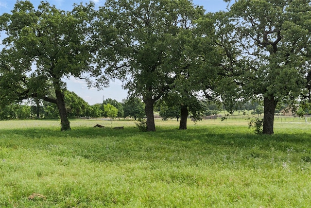 421 Olive Branch Rd, Brock, TX 76087 - view of undeveloped land with rural landscape