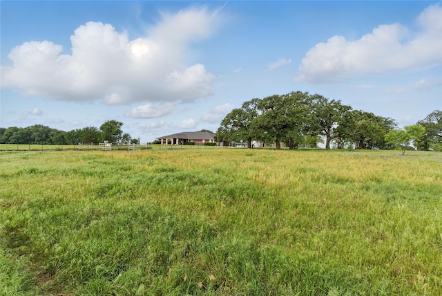 421 Olive Branch Rd, Brock, TX 76087 - view of yard with a view of rural / pastoral area