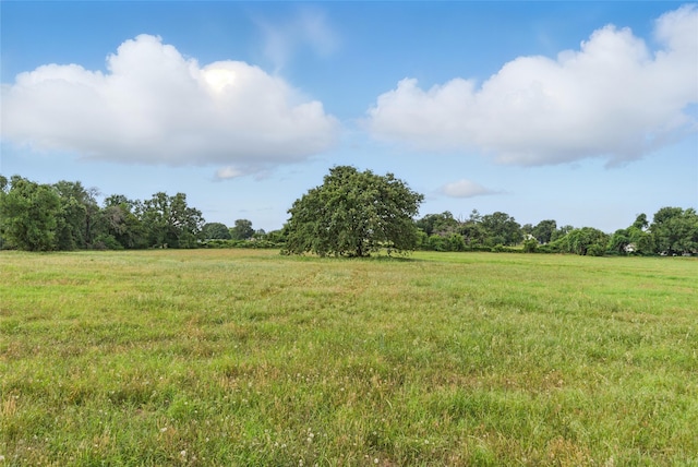 421 Olive Branch Rd, Brock, TX 76087 - view of undeveloped land with rural landscape