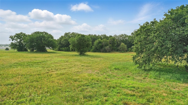 421 Olive Branch Rd, Brock, TX 76087 - view of local wilderness with rural landscape