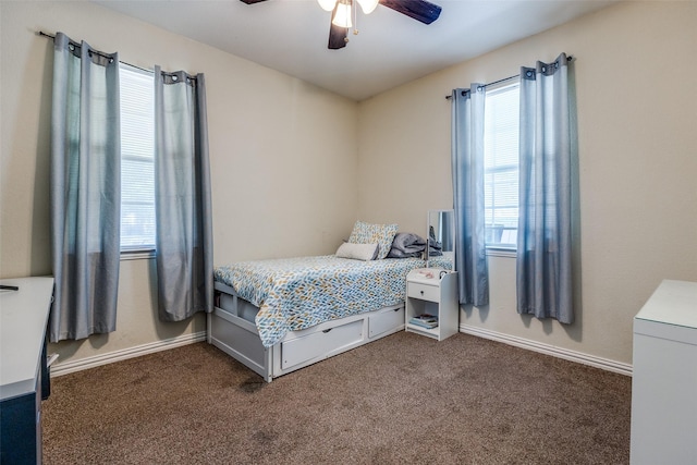 2446 Catherine St, Dallas, TX 75211 - bedroom with dark carpet, multiple windows, and baseboards