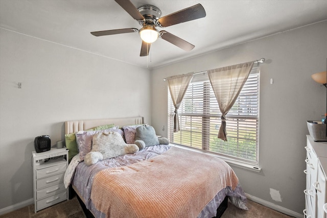 113 Hamilton Way, Venus, TX 76084 - bedroom featuring dark carpet, multiple windows, and baseboards