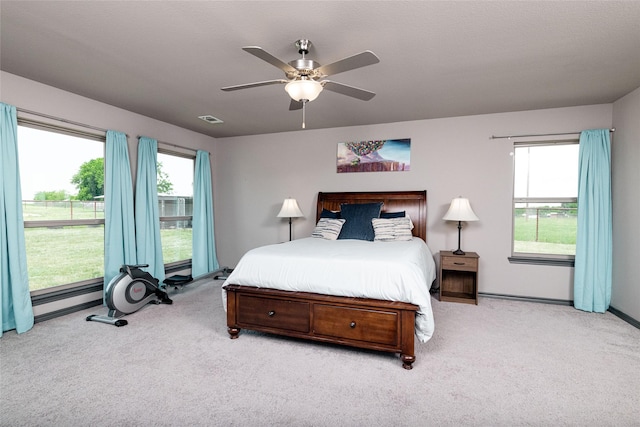 14447 Warbler Ln, Haslet, TX 76052 - bedroom with carpet and a ceiling fan