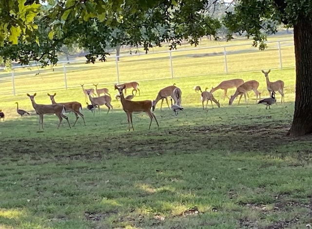 344 Clear Lake Ln, Weatherford, TX 76087 - view of community featuring a yard and a rural view