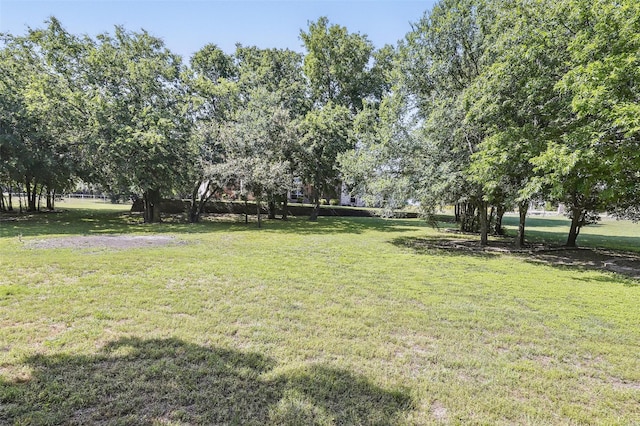 104 E Hidden Meadow Ct, Cresson, TX 76035 - view of grassy yard
