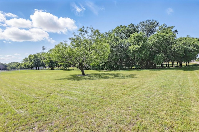 104 E Hidden Meadow Ct, Cresson, TX 76035 - view of green lawn