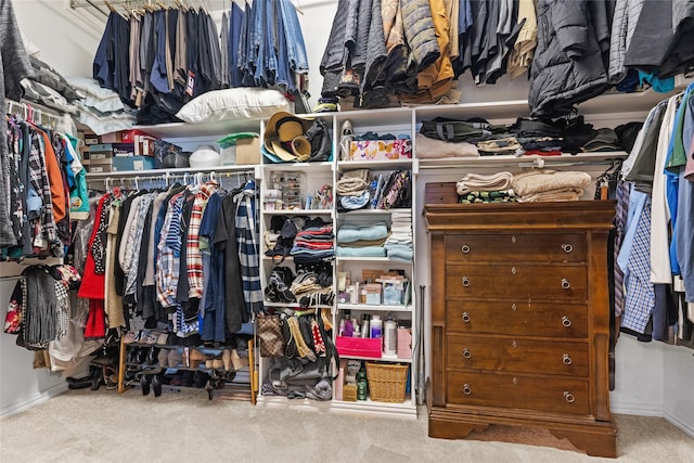 1127 Westminster Ave, Murphy, TX 75094 - walk in closet featuring carpet flooring