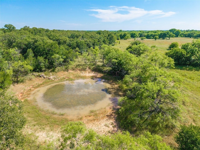 92.195ACRESTBD County Road 434, De Leon, TX 76446