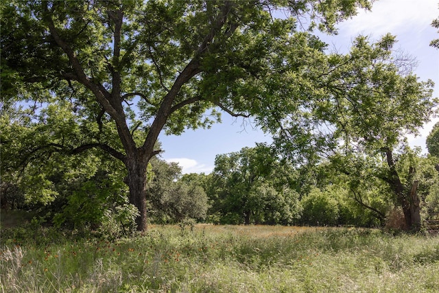 92.195ACRESTBD County Road 434, De Leon, TX 76446