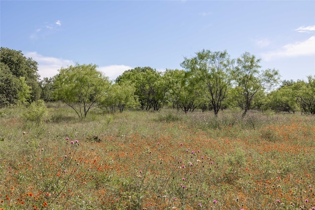 92.195ACRESTBD County Road 434, De Leon, TX 76446