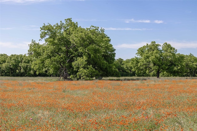 92.195ACRESTBD County Road 434, De Leon, TX 76446