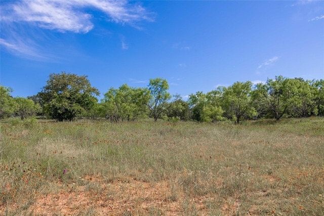 92.195ACRESTBD County Road 434, De Leon, TX 76446