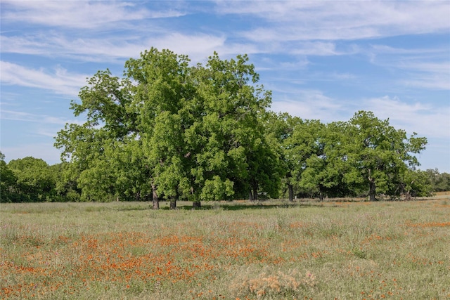 92.195ACRESTBD County Road 434, De Leon, TX 76446