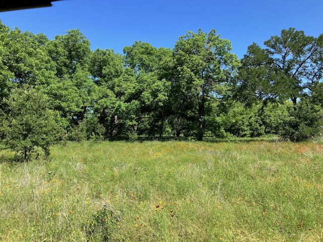 92.195ACRESTBD County Road 434, De Leon, TX 76446