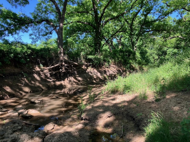 92.195ACRESTBD County Road 434, De Leon, TX 76446