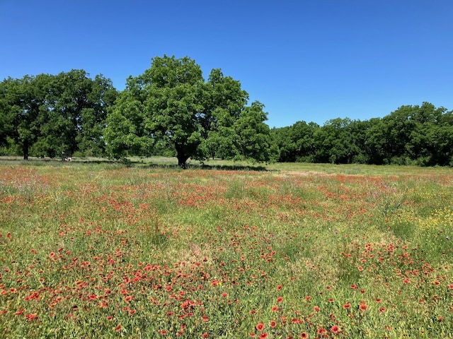 92.195ACRESTBD County Road 434, De Leon, TX 76446