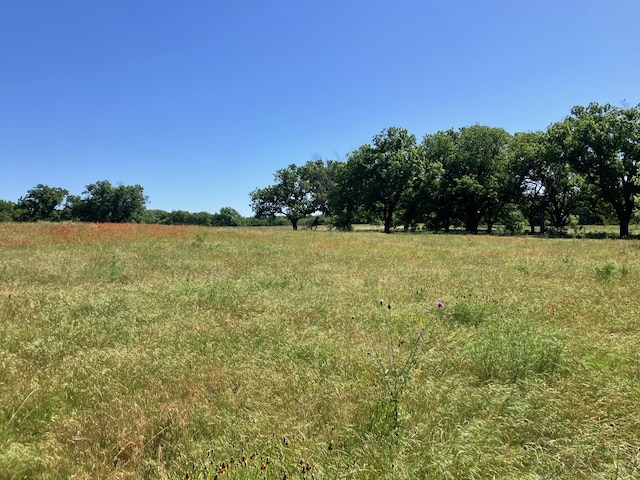 92.195ACRESTBD County Road 434, De Leon, TX 76446