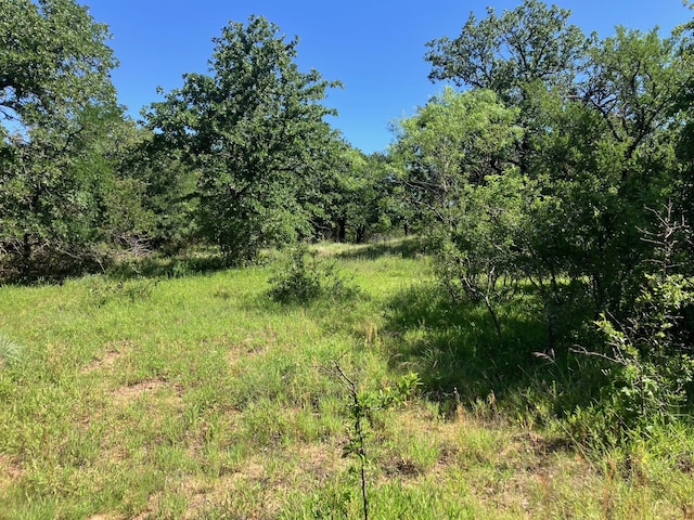 92.195ACRESTBD County Road 434, De Leon, TX 76446